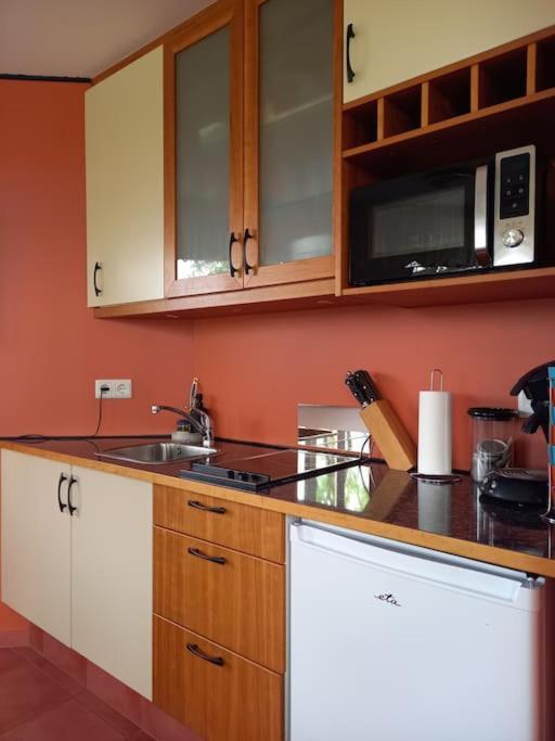 Апартаменты Þorsmoerk Farm 12 Min From Akureyri Svalbarthseyri Экстерьер фото