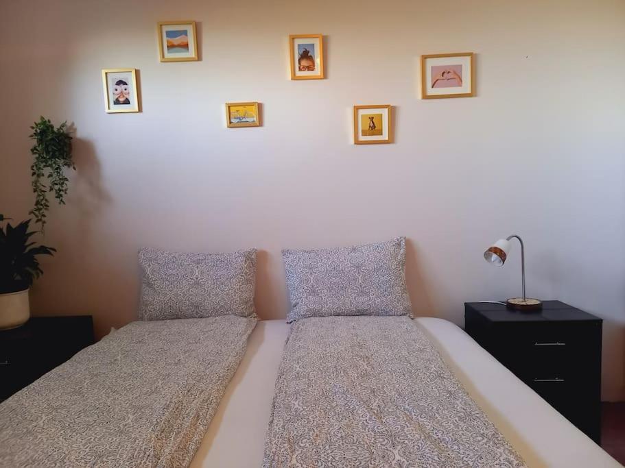 Апартаменты Þorsmoerk Farm 12 Min From Akureyri Svalbarthseyri Экстерьер фото